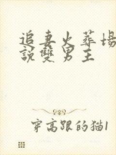 追妻火葬场的小说双男主