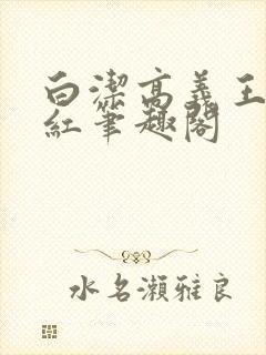 白洁高义王申美红笔趣阁