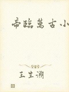 帝临万古小说版