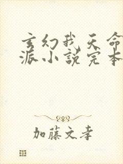 玄幻我天命大反派小说完本