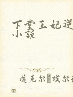 下堂王妃逆袭记小说