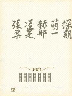 张凌赫萌探探探案是哪一期