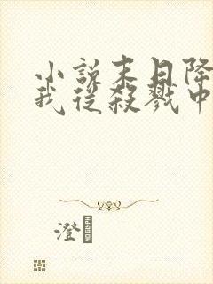 小说末日降临,我从杀戮中崛起林枫