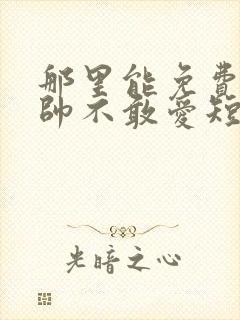 那里能免费看少帅不敢爱短剧