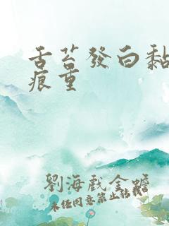 舌苔发白黏腻齿痕重