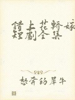 错上花轿嫁王爷短剧全集