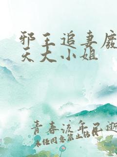 邪王追妻废柴逆天大小姐