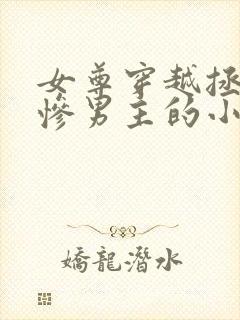 女尊穿越拯救悲惨男主的小说