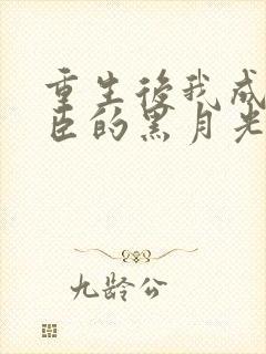 重生后我成了奸臣的黑月光小说