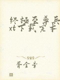 终极至尊兵王txt下载完本