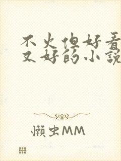 不火但好看文笔又好的小说