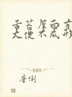 舌苔厚白有齿痕大便不成形