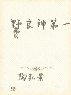 野良神第一季免费