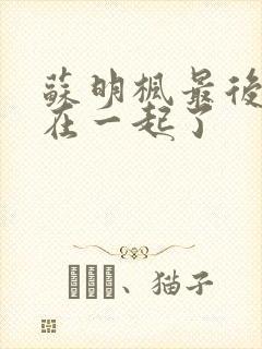 苏明枫最后和谁在一起了