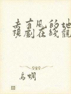 去有风的地方电视剧在线观看全集免费