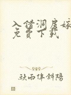 入错洞房嫁对郎免费下载