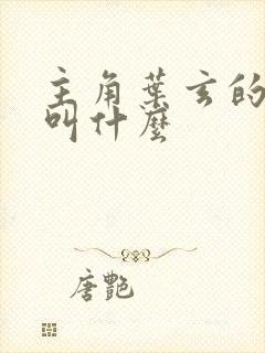 主角叶玄的小说叫什么