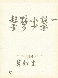 起点小说一般一章多少字