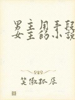 男主用手段娶到女主的小说