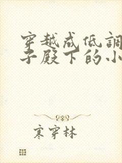 穿越成低调做皇子殿下的小说