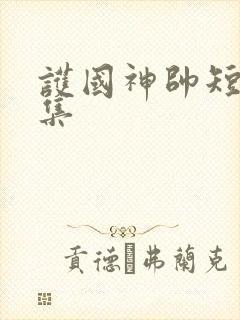 护国神帅短剧合集