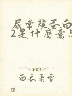 尿常规蛋白质+2是什么意思