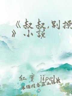 《叔叔,别撩我》小说