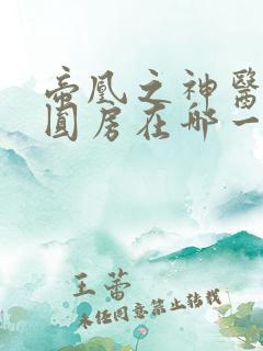 帝凰之神医弃妃圆房在哪一章