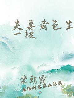 夫妻黄色生活片一级