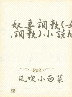 奴妻调教(女m,调教)小说hhh