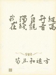 我独自升级动漫在线观看高清