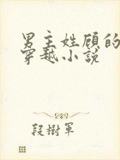 男主姓顾的古代穿越小说