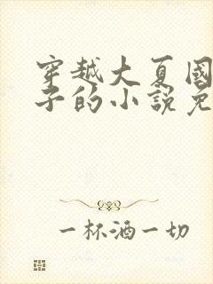 穿越大夏国九皇子的小说免费阅读