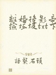离婚后影帝天天捡垃圾txt下载