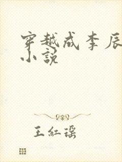 穿越成李辰安的小说