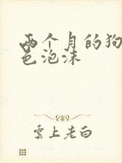 两个月的狗吐白色泡沫