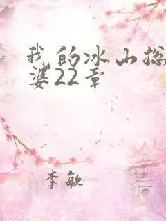 我的冰山总裁老婆22章