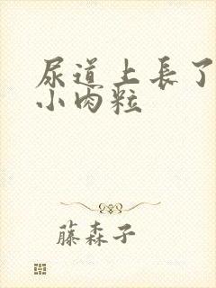 尿道上长了白色小肉粒