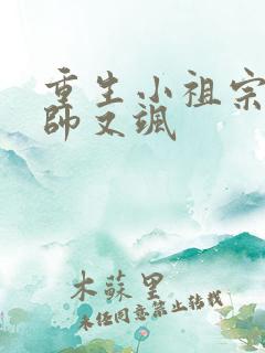 重生小祖宗她又帅又飒