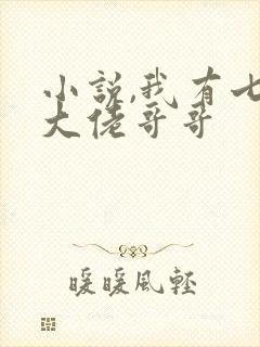 小说,我有七个大佬哥哥