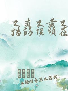 又爽又黄又无遮挡的视频在线观看