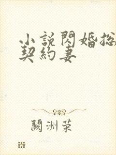 小说闪婚总裁的契约妻