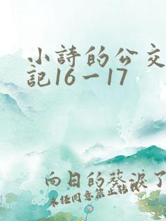 小诗的公交车日记16一17