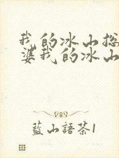 我的冰山总裁老婆我的冰山总裁老婆