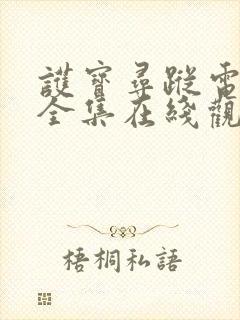 护宝寻踪电视剧全集在线观看免费