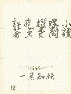 许我耀眼小说原著免费阅读