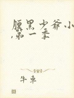 腹黑少爷小甜妻,第一季