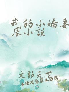 我的小娇妻霍叶辰小说