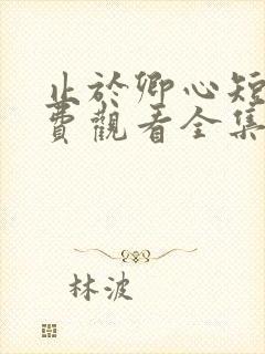 止于卿心短剧免费观看全集高清版