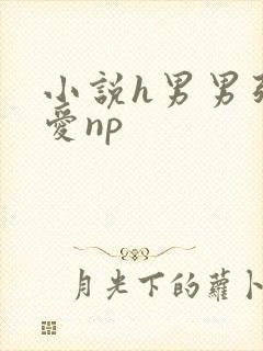 小说h男男强制爱np
